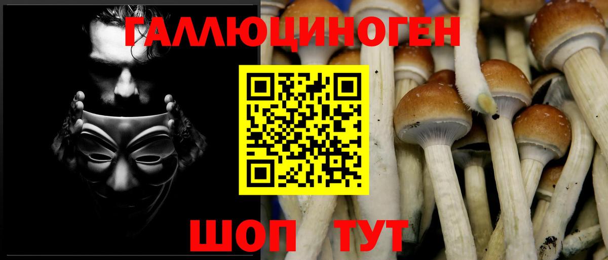 Калининград  Псилоцибиновые грибы MAGIC MUSHROOMS  Вход с VPN 